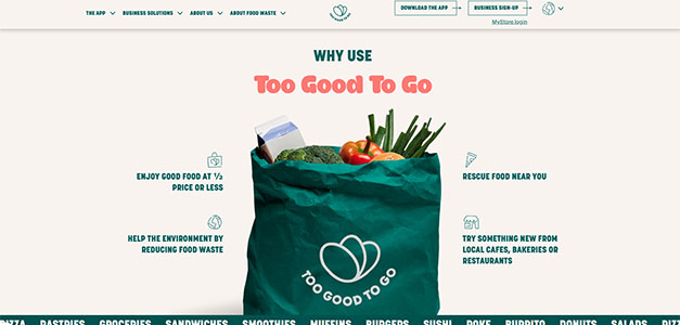 swati agarwal,front end developer,website making,seo expert, web development